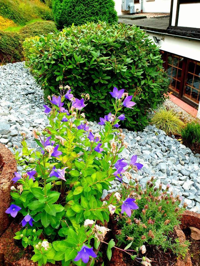 Landhotel Goldener Acker Morsbach  Dış mekan fotoğraf